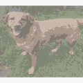 Ranger Dog pattern preview